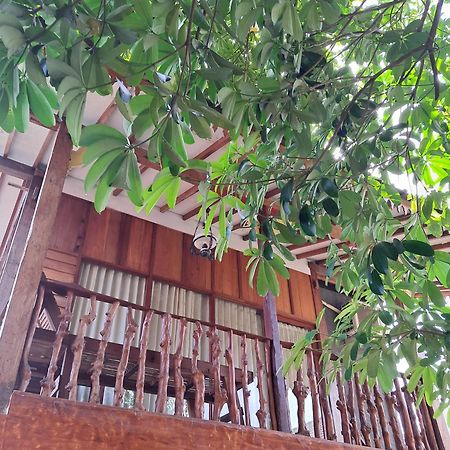 Diana'S Homestay Banyuwangi  Εξωτερικό φωτογραφία