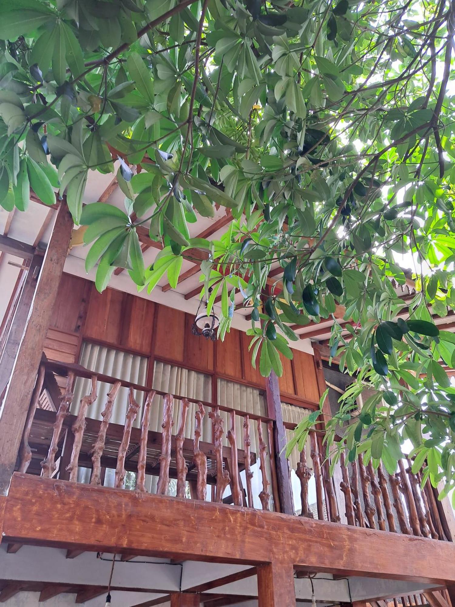 Diana'S Homestay Banyuwangi  Εξωτερικό φωτογραφία